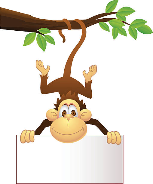 illustrations, cliparts, dessins animés et icônes de joli bébé singe dans un arbre tenant vierge signe - monkey tropical rainforest tree cartoon