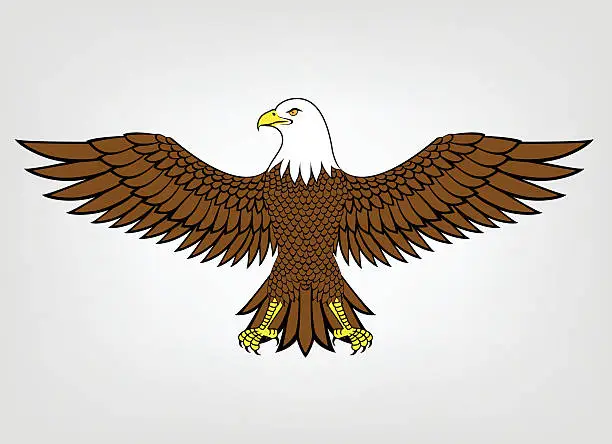 Vector illustration of eagle symbol illustration