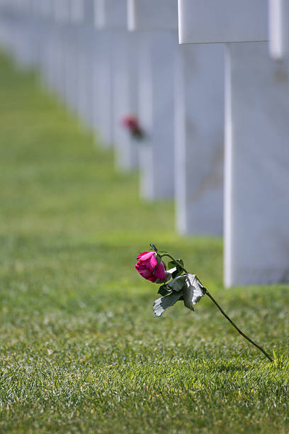 istock Colleville Military Cemetery 513880139