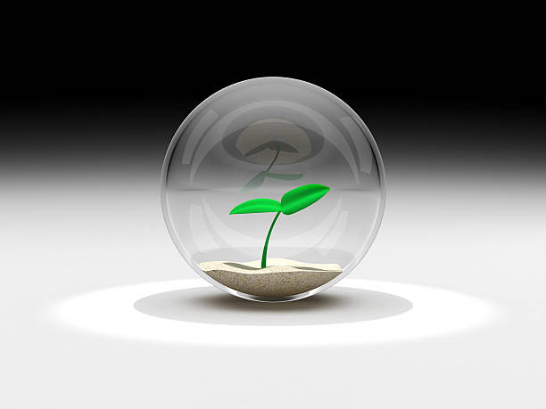 istock plant in a glass sphere 513880193