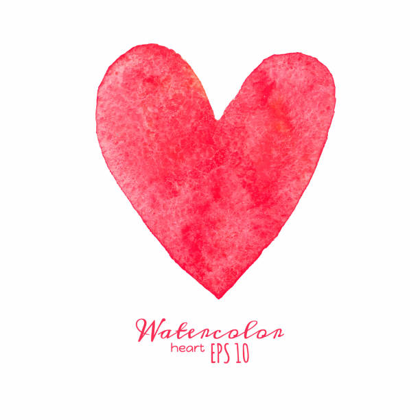Watercolor painted red heart. Watercolor painted red heart. Vector isolated element for your design. watercolor heart stock illustrations
