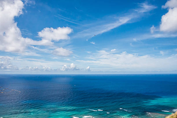 Pacific Ocean From Waikiki Beach