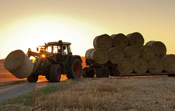 traktor al lavoro su un campo - hay wheat bale stacking foto e immagini stock