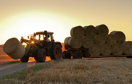 Traktor at work on a field loading haystacks