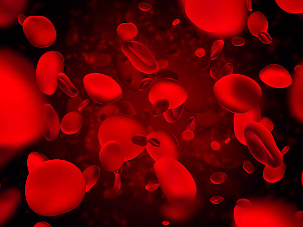 Red blood cells. Blood elements stock photo