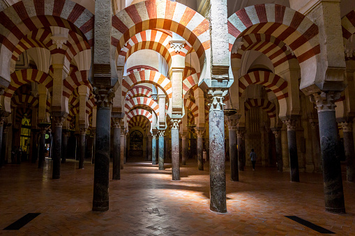 Constructed as a Mosque in 785 and converted in 1236 in the current Cathedral of Córdoba, the temple even now retains features of the Islamic architecture. It is also know as the Great Mosque of Córdoba, and is a Unesco World Heritage Site.