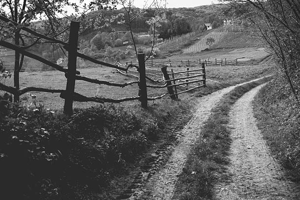 Old road leading to a hillside vineyard.