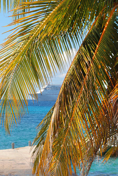 istock Cruise Ship through palm leaves 513882394