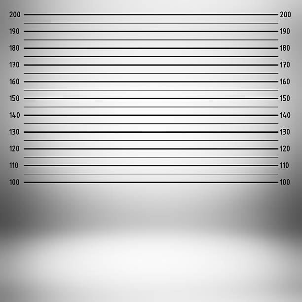 istock Police lineup or mugshot background 513884047