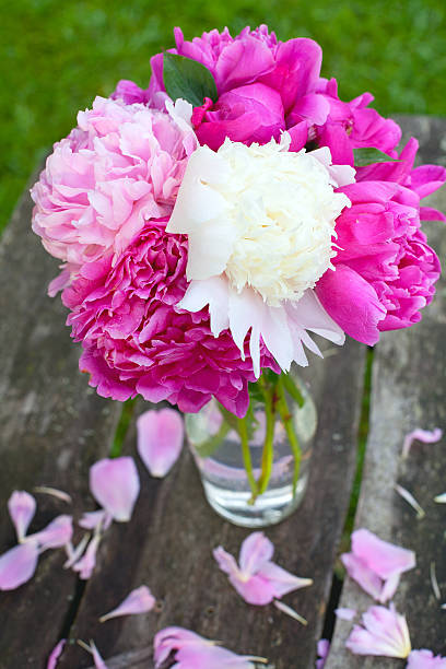 istock bunch of white, red and pink peonies 513884603
