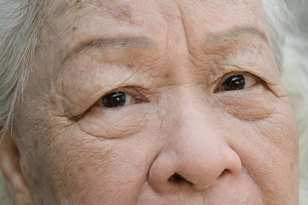 istock Close-up Elegant elderly woman face. 513885368
