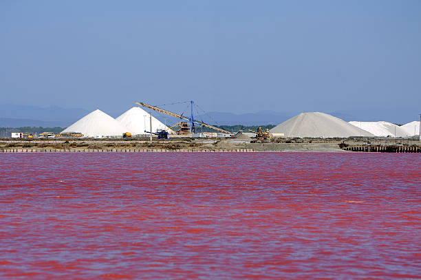 istock Site operating company saline Aigues-Mortes 513885383