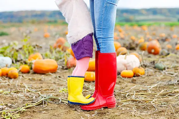 Legs of young woman and her little kid girl daugher in rainboots. Woman in red gum boots, child in yellow shoes. On pumpkin field, outdoors.