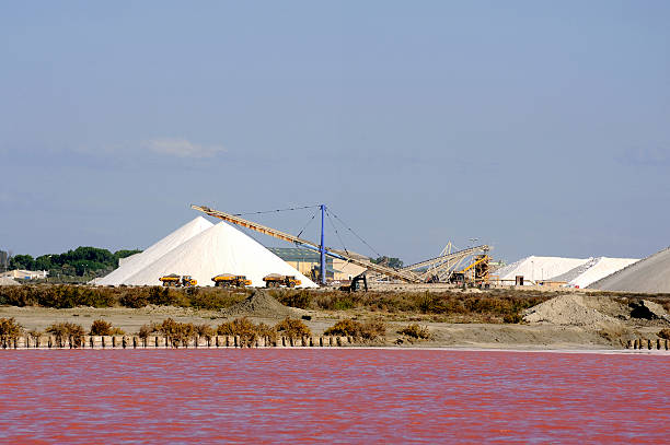 istock Site operating company saline Aigues-Mortes 513885799