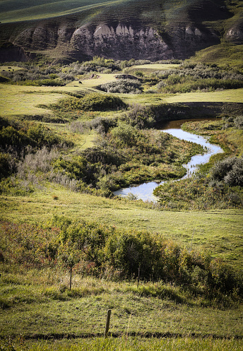 A creek runs through a coulee field in Alberta, Canada