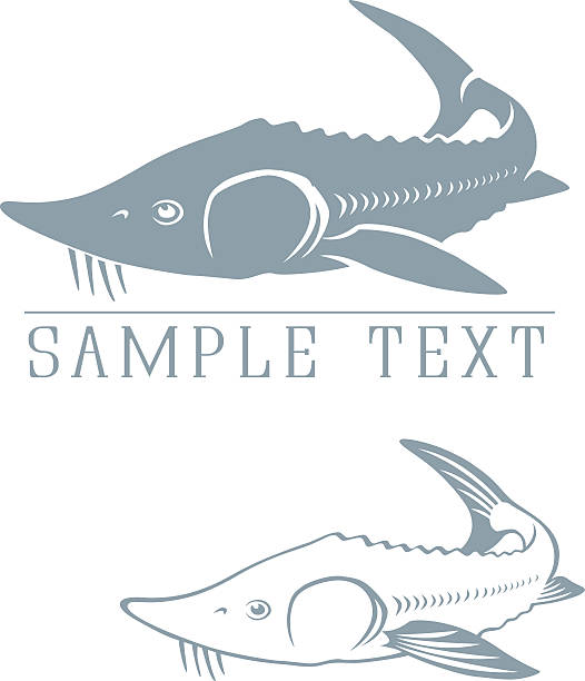 illustrations, cliparts, dessins animés et icônes de symbole de esturgeon - saltwater fish freshwater fish pond sturgeon