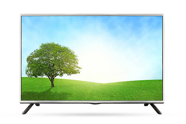 istock New TV grassland field  landscape isolated on white background. 513887512