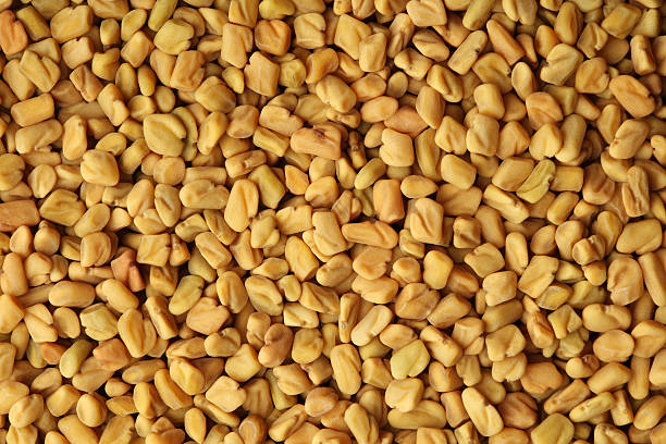 Fenugreek Seeds Background shot of fenugreek or methi seeds fenugreek stock pictures, royalty-free photos & images