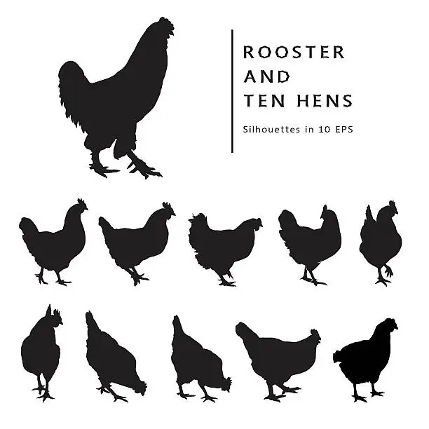 Vector illustration of Hens And Rooster.