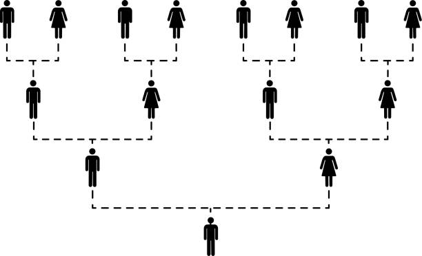 ilustrações, clipart, desenhos animados e ícones de árvore de família de várias gerações no branco - multi generation family isolated people silhouette