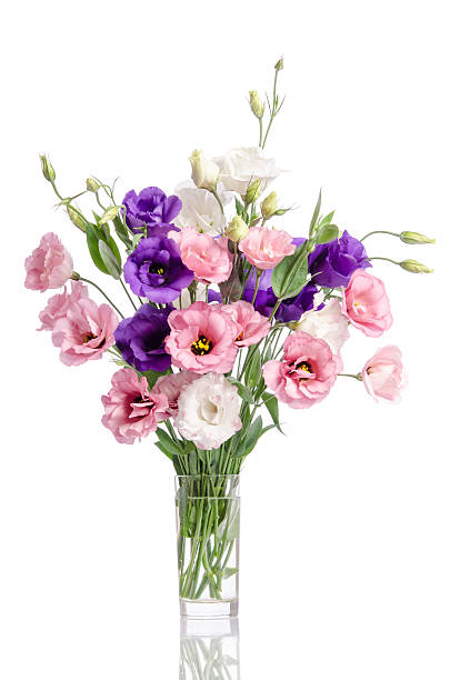 istock bunch of violet, white and pink eustoma flowers 513890158