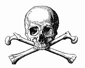 istock Human Skull and Bones 513891700