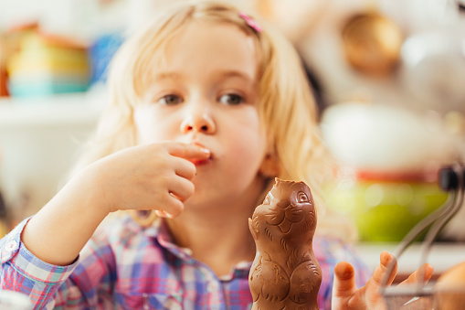 Cute little girl eating chocolate easter bunny.