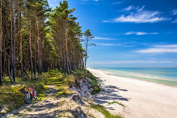 istock Path at the seashore, Baltic sea 513892834
