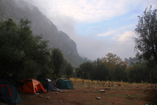 A morning on montain camp with tent and forest.