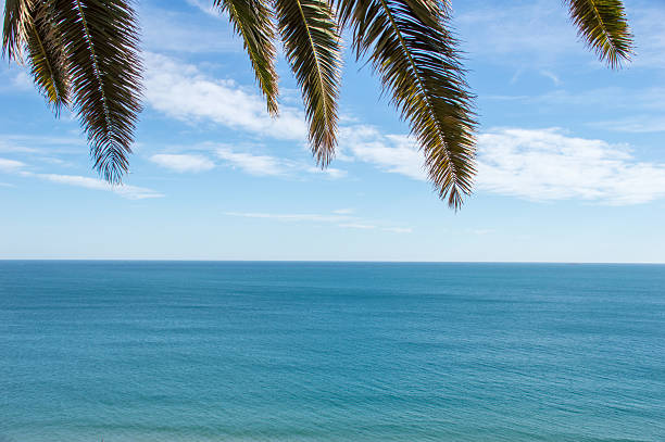 istock portrait of paradise 513894446