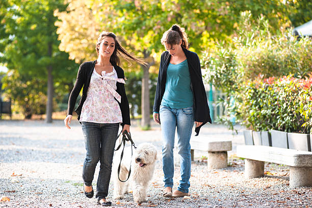istock friends enjoy with the dog 513895016