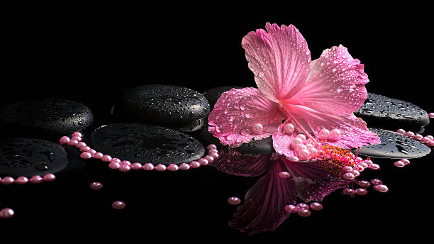 spa ainda vida de rosa hibiscus, quedas e pearl contas - water ripple drop zen like - fotografias e filmes do acervo