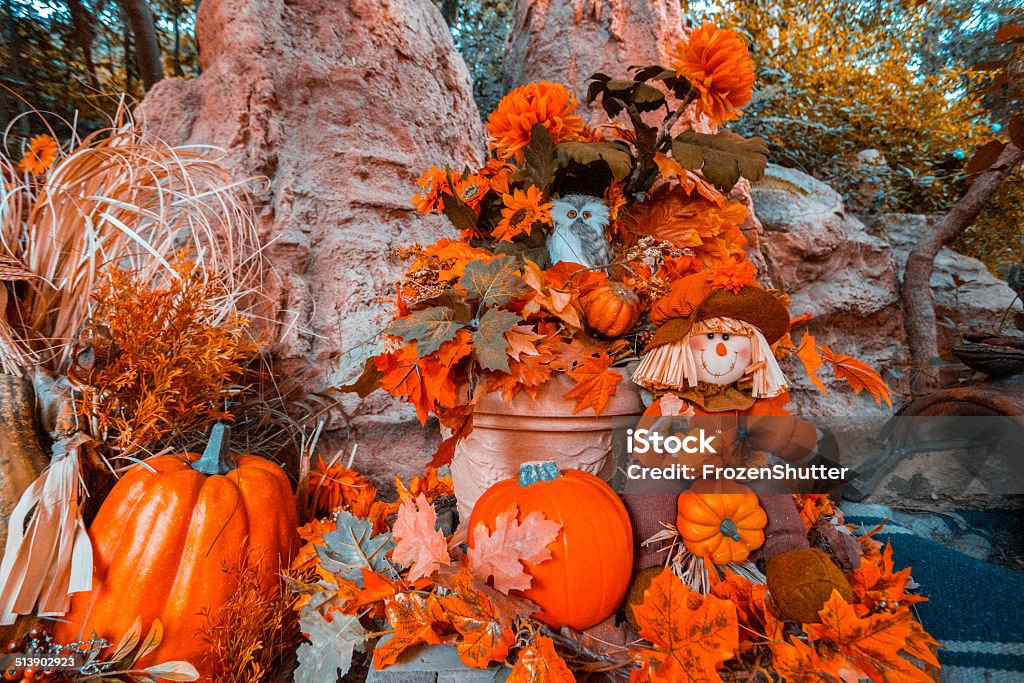 Halloween pumpkin jack O'lantern A Halloween pumpkin jack O'lantern with leaves and other things around it Autumn Stock Photo