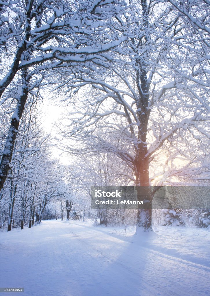 Winter-Straße in den Sonnenaufgang - Lizenzfrei Baum Stock-Foto