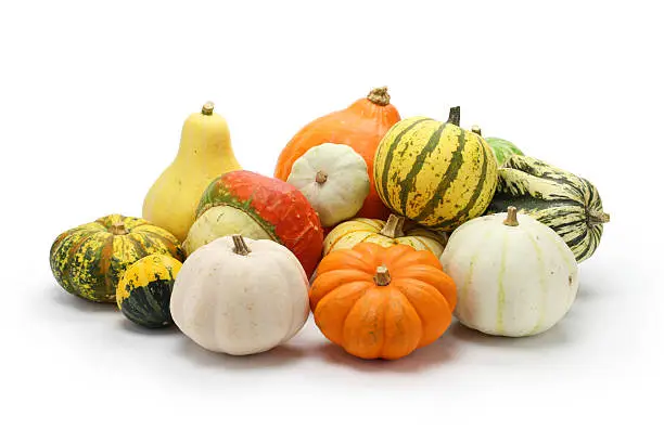 colorful pumpkin and squash collection, autumn background