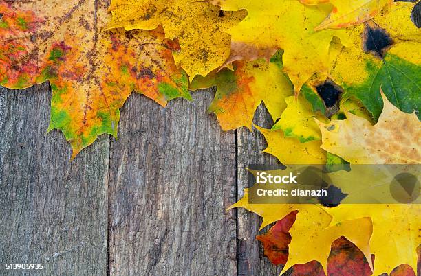 Maple Leaf Border Over Wood Stock Photo - Download Image Now - Aging Process, Arrangement, Autumn
