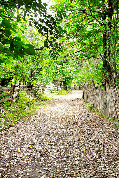 istock Countryside Beautiful Road 513905991