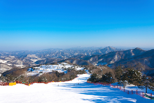 Vivaldi Park Ski Resort Korea