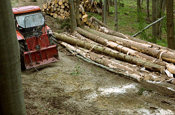 istock Forestry machinery - Lumber industry -- Hauling wood 513906921