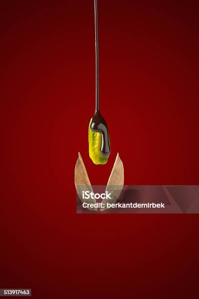 Pistachio Stock Photo - Download Image Now - Chocolate, Close-up, Color Image