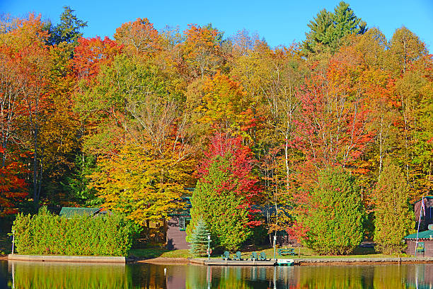 istock Autumn Foliage, Adirondacks, New York 513918181