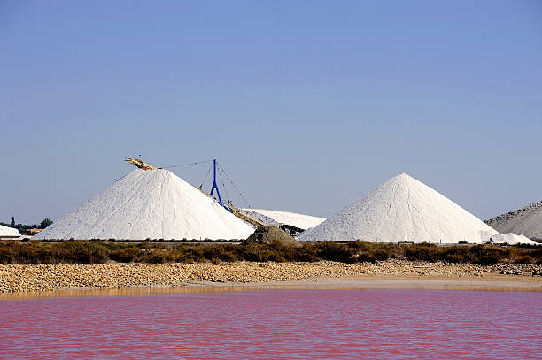 istock Site operating company saline Aigues-Mortes 513918311