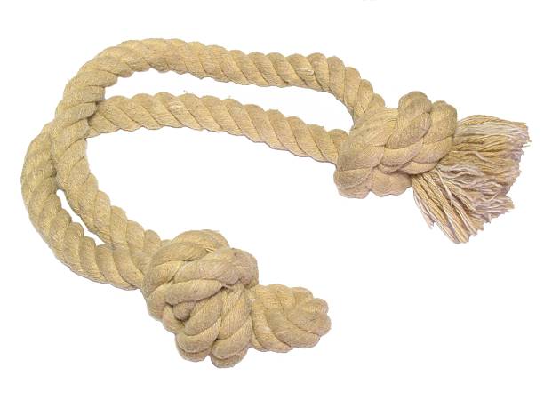 istock Old twisted rope with knots photo on white. 513918695