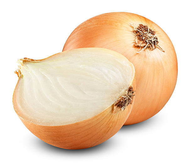 onion bulbs Fresh onion bulbs isolated on white background onion family stock pictures, royalty-free photos & images