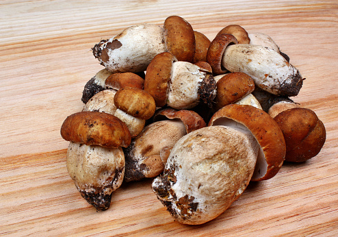 wild mushrooms