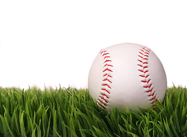 istock Baseball on Green Grass, isolated on white. Ball 513923461
