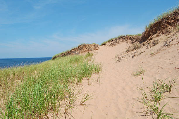 sand dunes sand dunes and path along the north coast of Prince Edward Island, Canada cavendish beach stock pictures, royalty-free photos & images