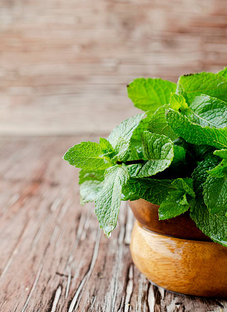 istock Fresh mint in a wooden bowl, selective focus 513935146
