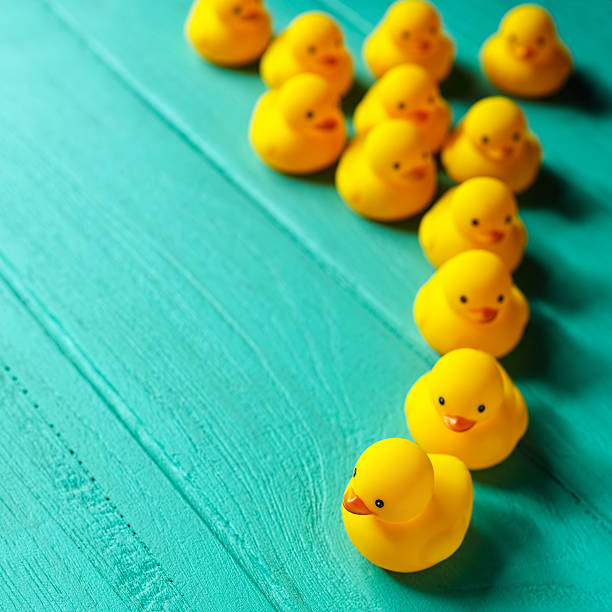 istock Rubber ducks on an old wooden background. 513935682
