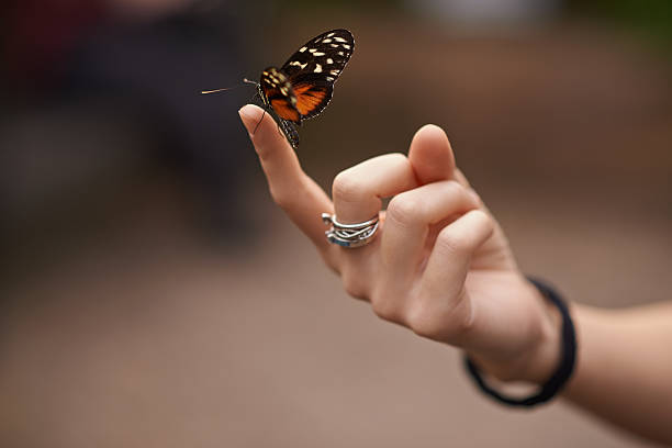 istock Spread your wings and fly, beautiful butterfly 513937422